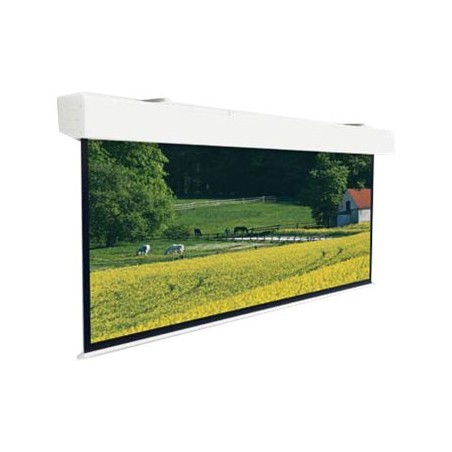 Projecta Elpro Large Electrol WS 244x390