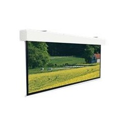 Projecta Elpro Large Electrol WS 368x490