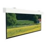 Projecta Elpro Large Electrol WS 306x490