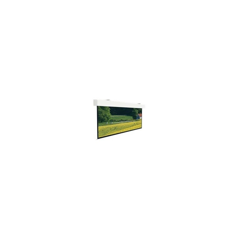 Projecta Elpro Large Electrol WS 490x490