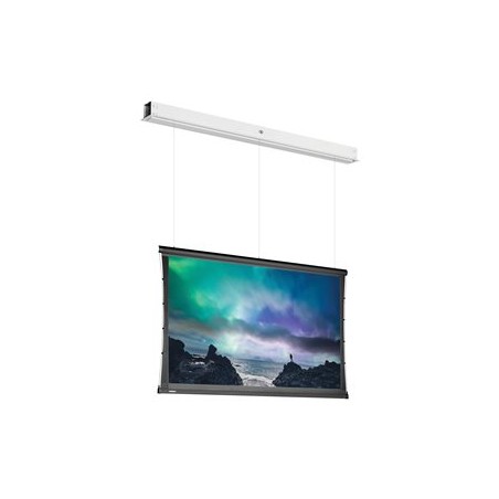 10101634, Projecta Tensioned DescenderPro SightLin