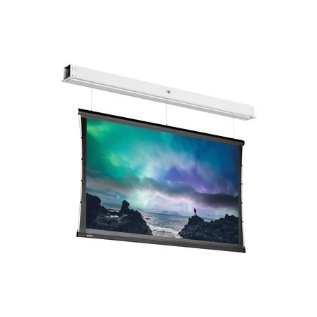 10101710, Projecta Tensioned DescenderPro SightLin