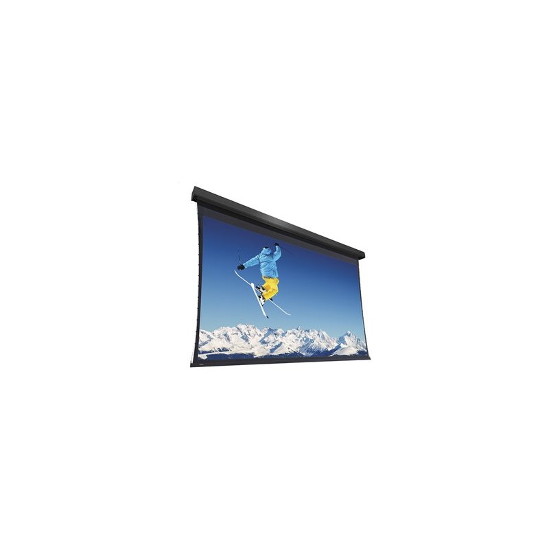 10102259, Projecta Extensa WS 304x540 HD Progressi