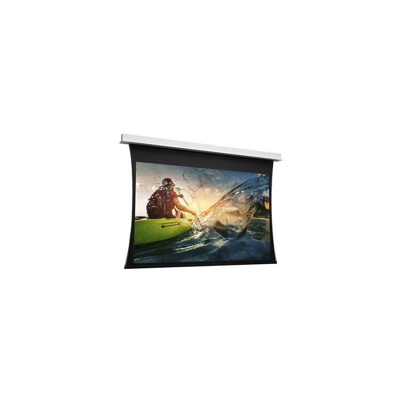 Projecta DescenderPro WS 197x350 Matte W