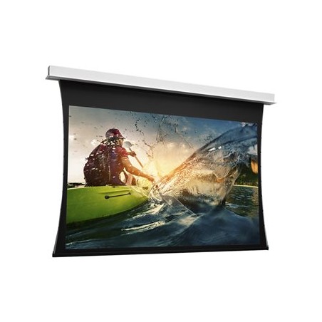 Projecta DescenderPro WS 197x350 Matte W