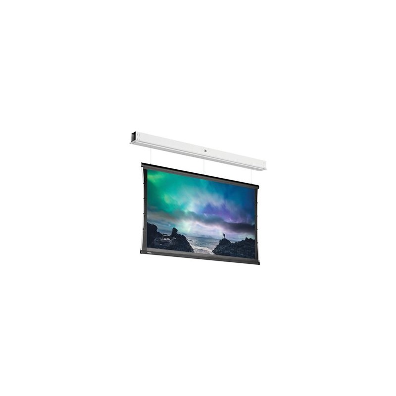 10105647, Projecta Screen Surface Assembly Tension