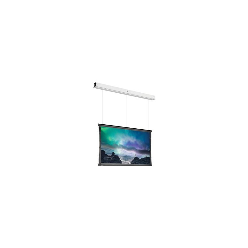 10105660, Projecta Screen Surface Assembly Tension