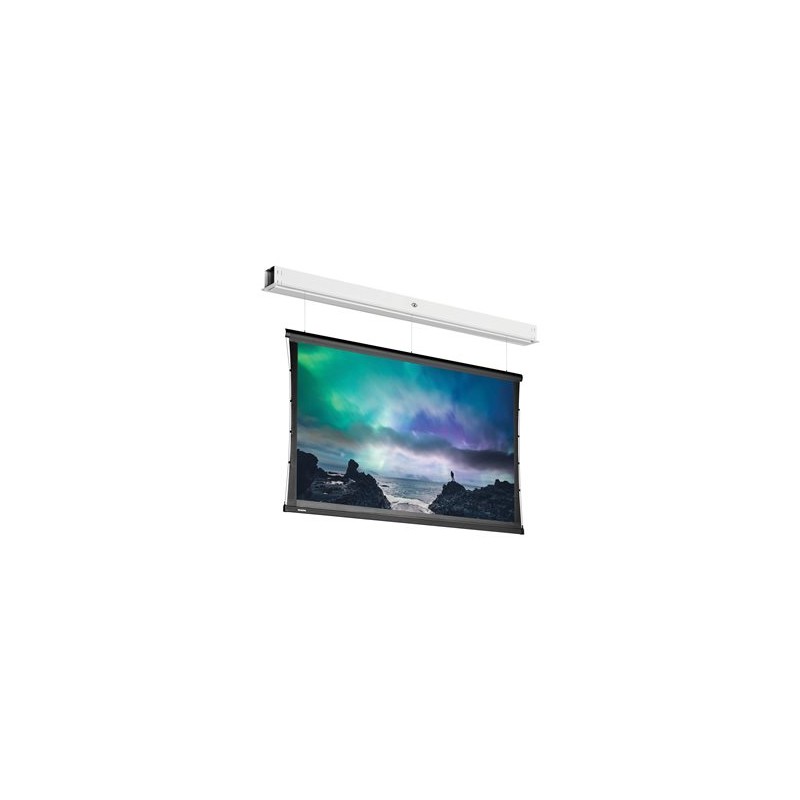 10105699, Projecta Screen Surface Assembly Tension
