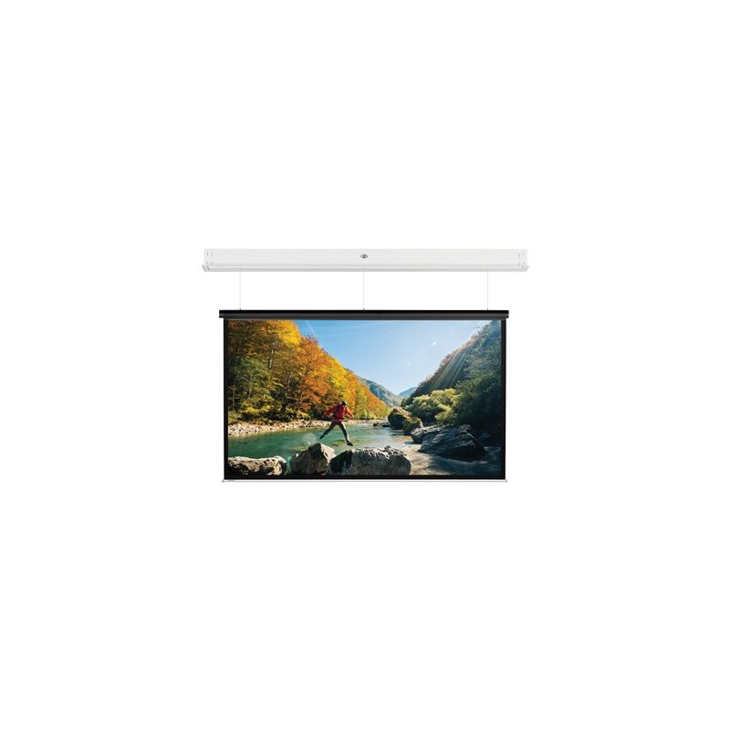 10105736, Projecta Screen Surface Assembly Descend