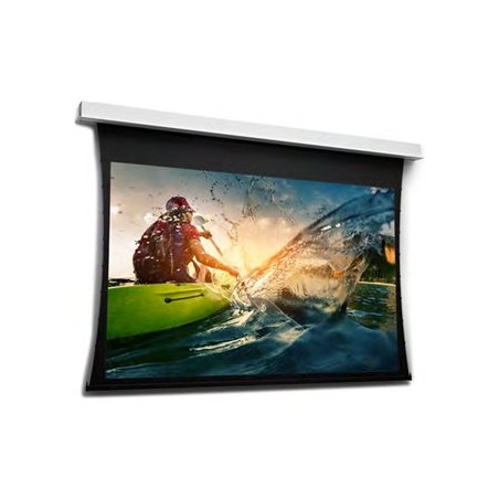 10106647, Projecta Screen Surface Assembly Tension