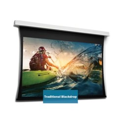 10106657, Projecta Screen Surface Assembly Tension