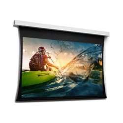 10106717, Projecta Screen Surface Assembly Tension