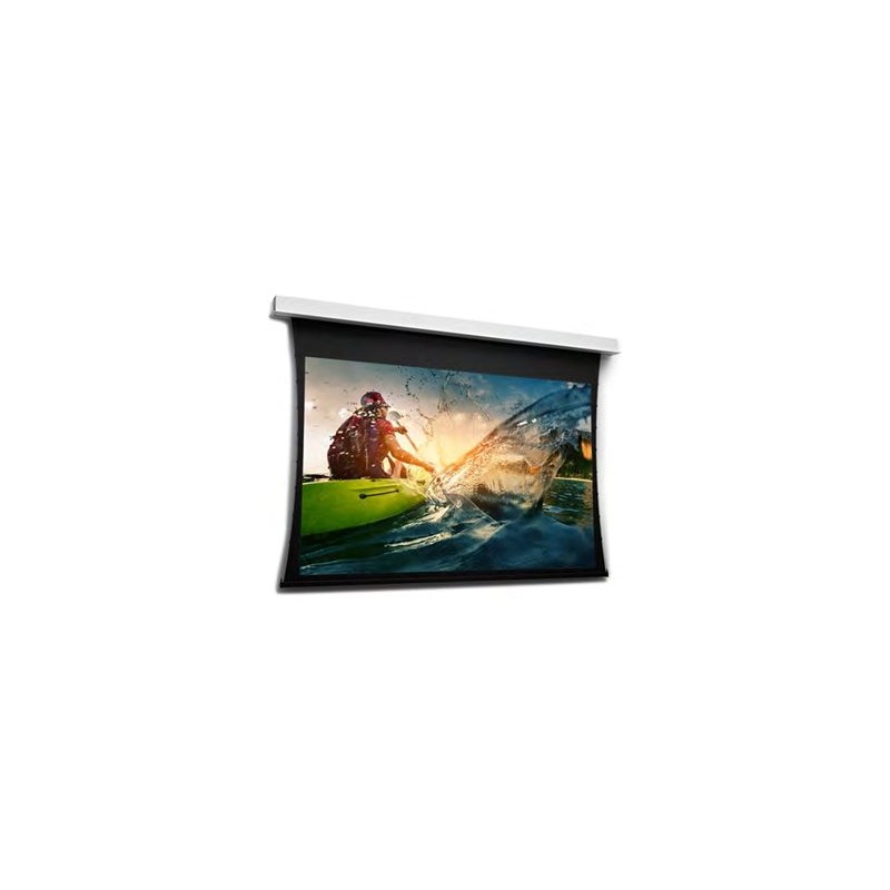 10106717, Projecta Screen Surface Assembly Tension