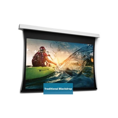 10106723, Projecta Screen Surface Assembly Tension