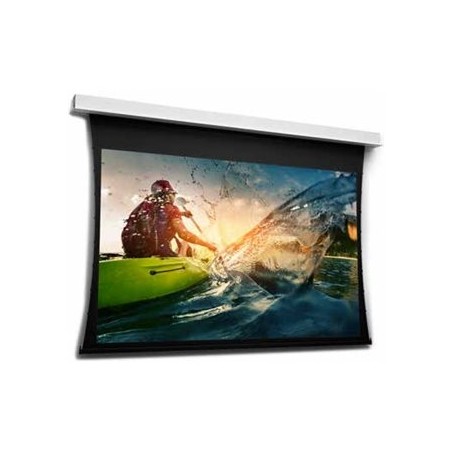 10106725, Projecta Screen Surface Assembly Tension