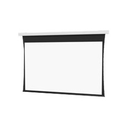 10106732, Projecta Screen Surface Assembly Tension