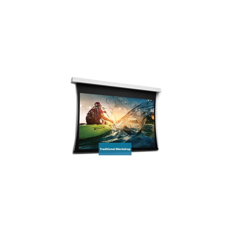 10106731, Projecta Screen Surface Assembly Tension