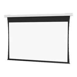 10106735, Projecta Screen Surface Assembly Tension
