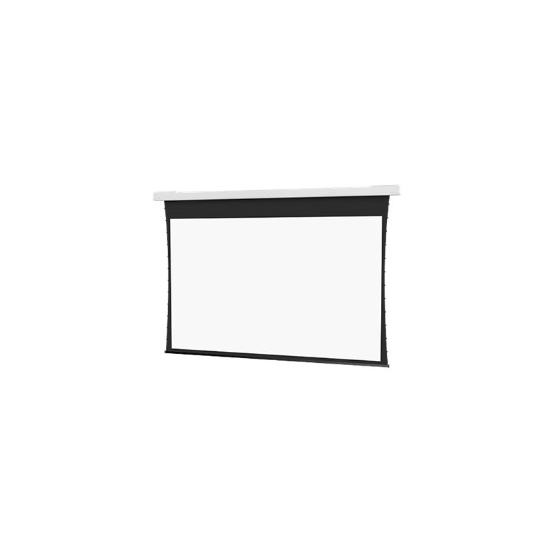 10106735, Projecta Screen Surface Assembly Tension