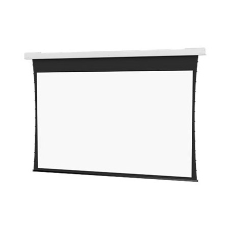 10106735, Projecta Screen Surface Assembly Tension