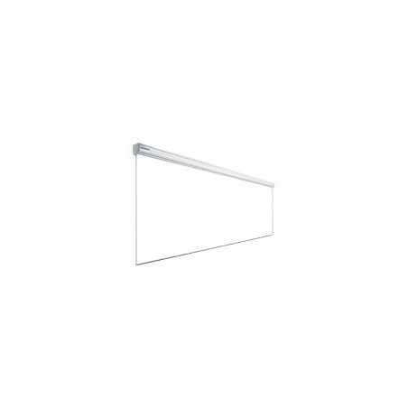 10130084, Projecta GiantScreen Electrol 500x600 Ma