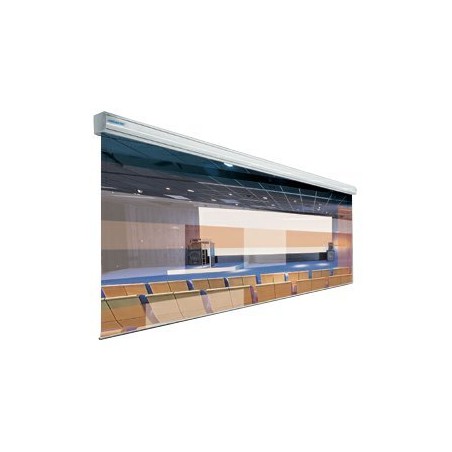 10130773, Projecta GiantScreen Electrol 438x700 Ma