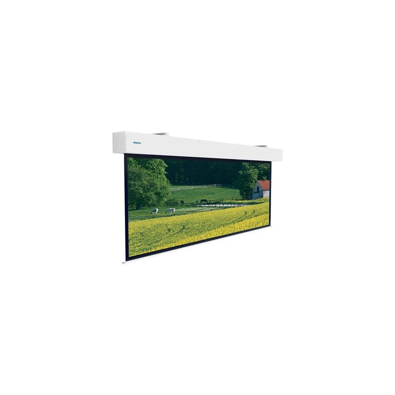 Projecta Elpro Large Electrol 275x440 M