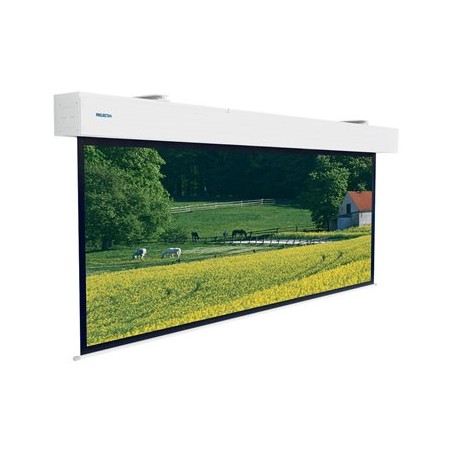 Projecta Elpro Large Electrol 276x490 M