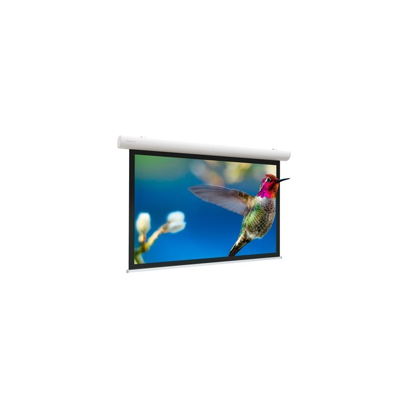 10141501, Projecta Elpro Concept RF 244x390 Matte