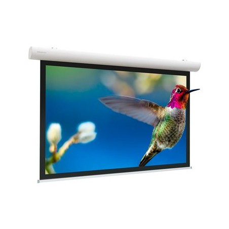 10141501, Projecta Elpro Concept RF 244x390 Matte