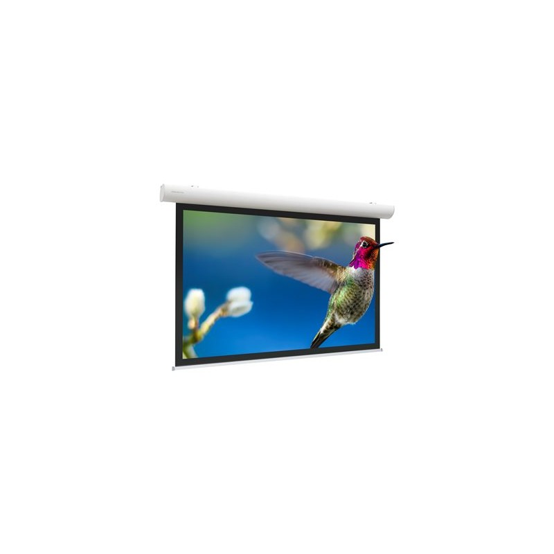 10141504, Projecta Elpro Concept RF 219x390 Matte