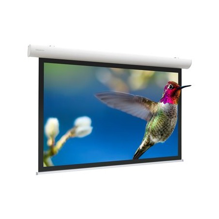 10141504, Projecta Elpro Concept RF 219x390 Matte