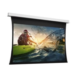 Projecta DescenderPro 174x310 Matte Whi