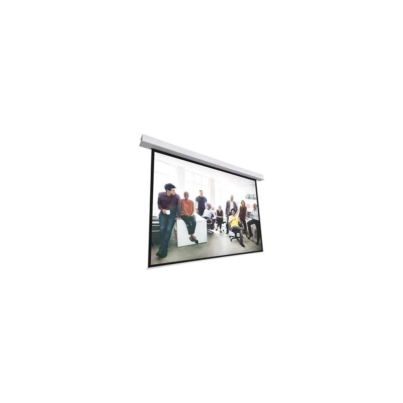 10145455, Projecta Screen Surface Assembly Descend