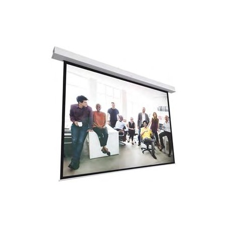 10145455, Projecta Screen Surface Assembly Descend