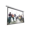 10145455, Projecta Screen Surface Assembly Descend