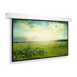 10145459, Projecta Screen Surface Assembly Descend