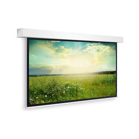 10145459, Projecta Screen Surface Assembly Descend