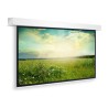 10145459, Projecta Screen Surface Assembly Descend