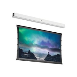 10145741, Projecta Screen Surface Assembly Descend