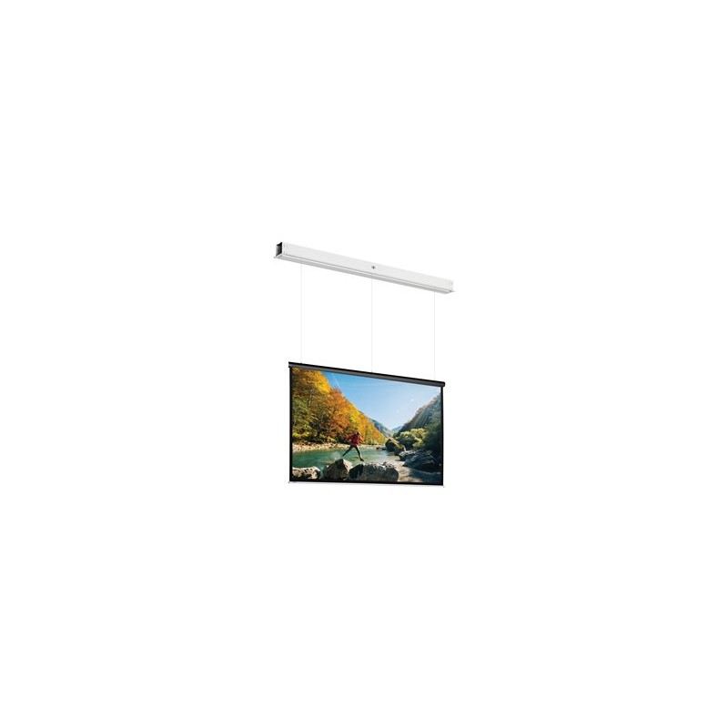 10145746, Projecta Screen Surface Assembly Descend