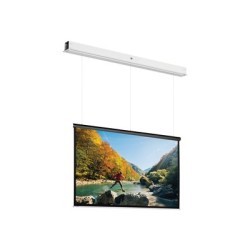 10145745, Projecta Screen Surface Assembly Descend