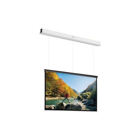 10145745, Projecta Screen Surface Assembly Descend