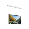 10145745, Projecta Screen Surface Assembly Descend