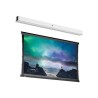10145762, Projecta Screen Surface Assembly Descend