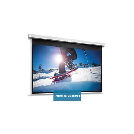 10146740, Projecta Screen Surface Assembly Descend