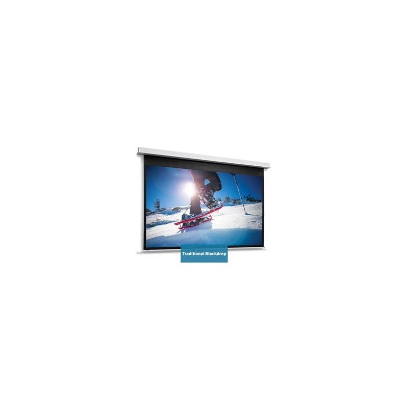 10146766, Projecta Screen Surface Assembly Descend