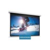 10146766, Projecta Screen Surface Assembly Descend