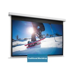 10146768, Projecta Screen Surface Assembly Descend