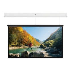 10146803, Projecta Screen Surface Assembly Descend